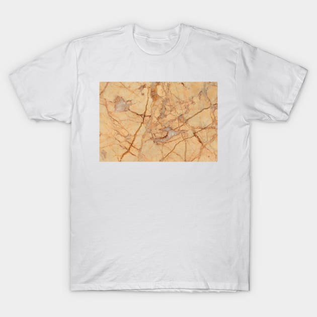 Antique Marble Pattern Texture Design T-Shirt by Moshi Moshi Designs